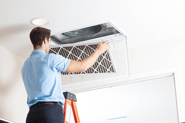 Best HVAC air duct cleaning  in Olympia Heights, FL